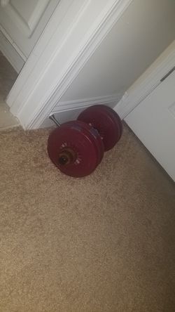 20 pound weights
