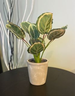Faux Plant 14”