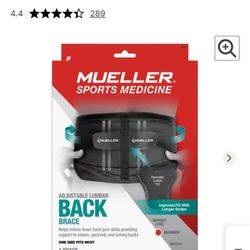 Back Brace 