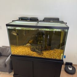 150 gallon top aquarium for sale