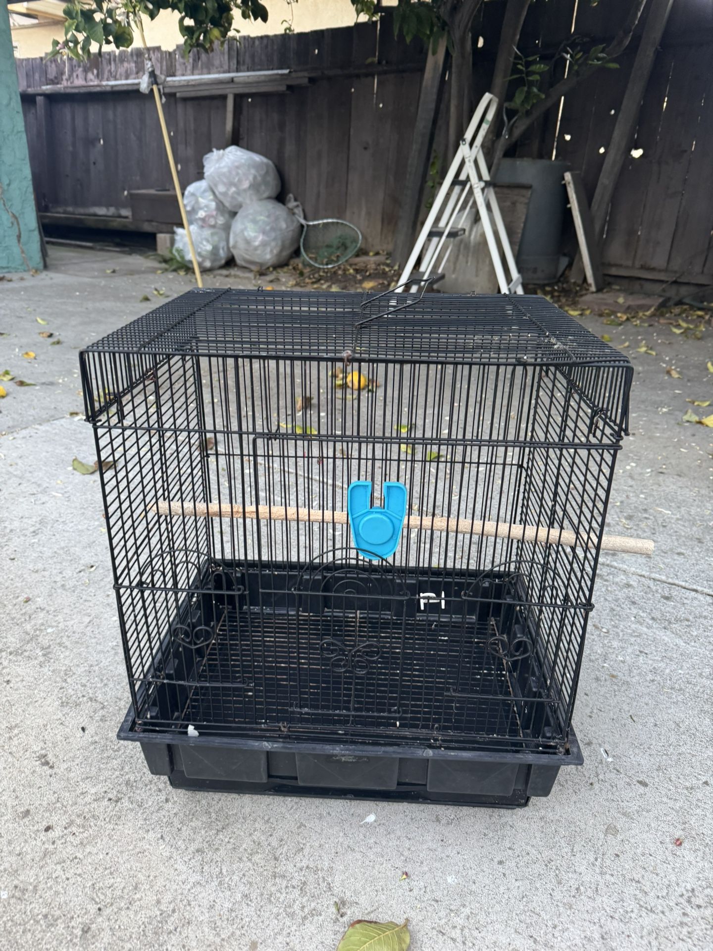 Bird Cage