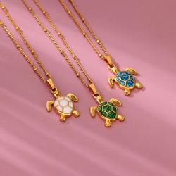 Cadena Acero Inoxidable con Tortuga 