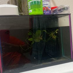 3 Gallon Tank With Leds 