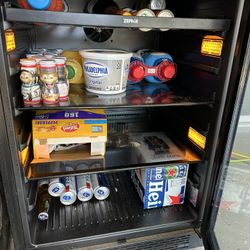 Outdoor/indoor Fridge 
