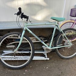 Bianchi incline mountain bike vintage