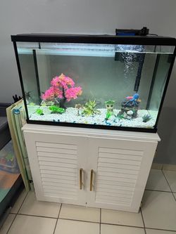 Acuario