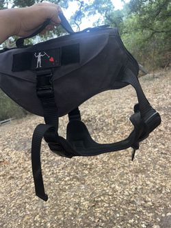 kong vest xl dogs