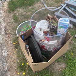 Cylinder Fish Tank, Heater, Filter, Lots Of Decir And Other Goodies 