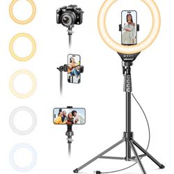 Selfie Ring Light with Tripod 