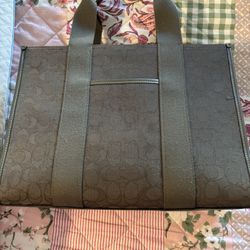 I Have 2 Coach Bags Army Green, 1 MK Purse 1 Blue Bible Purse