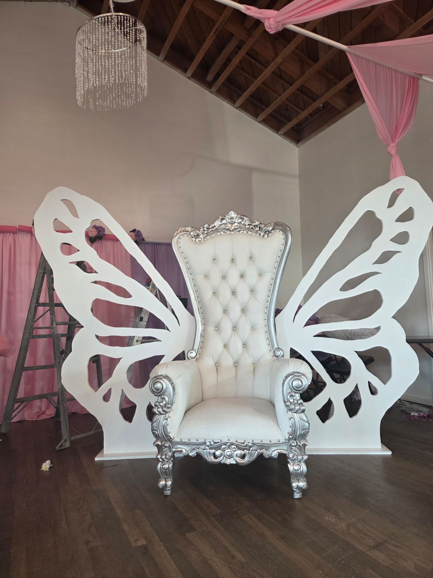 Butterfly Wings & # 1 6