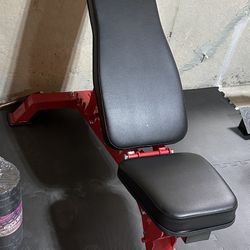 Brand New Workout Bench