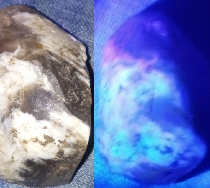 Uv Light Activated Huge Opal Fossilized Wood