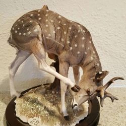 home decoration