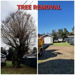Stump grinding messge, tree messge