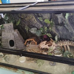 Exo Terra Reptile Habitat 