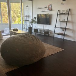 Bean Bag $40 OBO