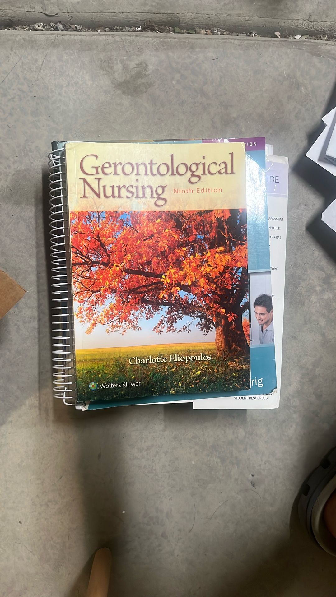 The Gerontological Nursing 