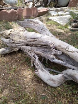 4 pieces natural driftwood