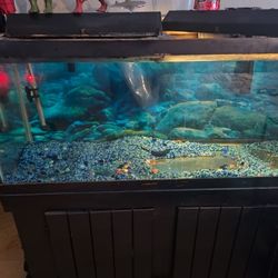 75 GALLON TANK, EVERYTHING INCLUDED, REDUCED