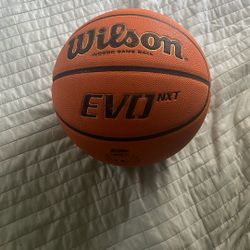 wilson basketball 