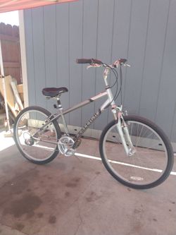 Raleigh Hybrid/Mountain Bike