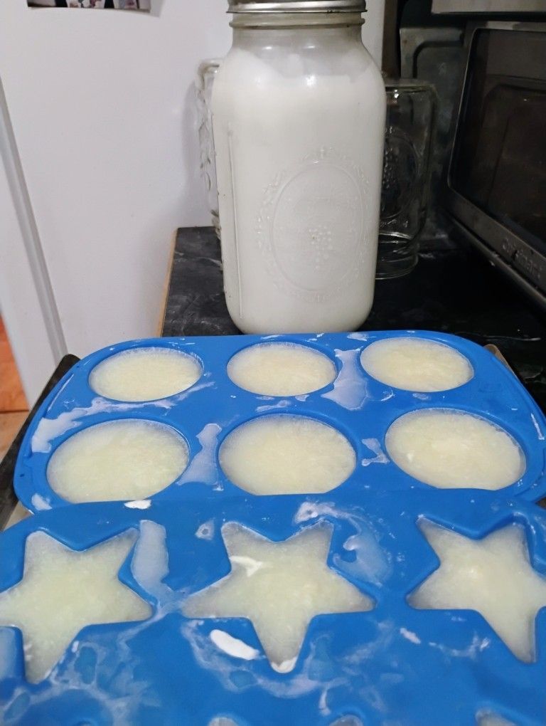 Fresh and Frozen Raw Goats Milk
