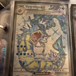 Gyarados EX Full Art
