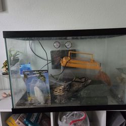 fish tank