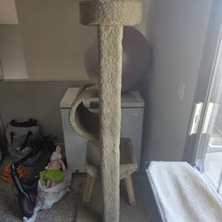 Cat Tree 