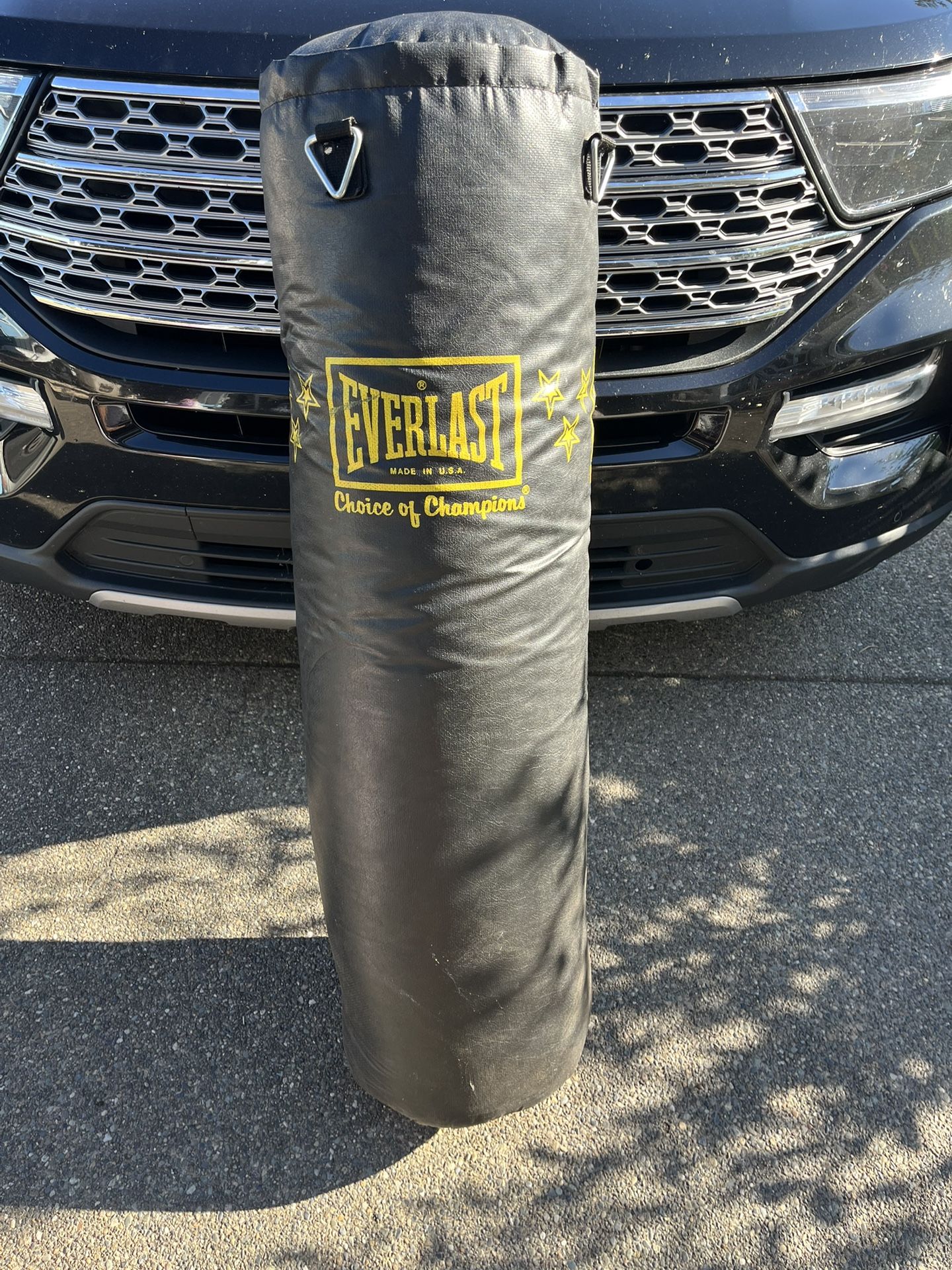 Boxing Bag 100lbs Everlast