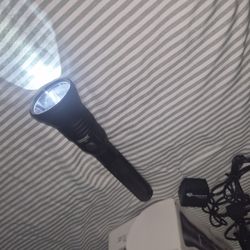 Streamlight Stinger DS Flashlight 