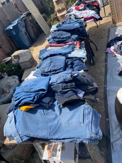Woman Pants