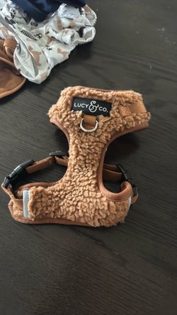Puppy/Small Dog Harness and clothes
