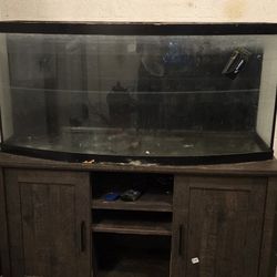 75 Gallon Bow Front Fish Tank And Stand