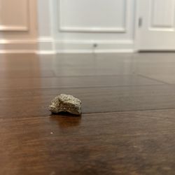 Good Medium Gem For Sale