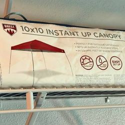 Quest 10'x10' Instant Up canopy