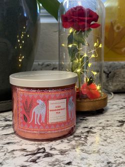 Bath & body Works Iced dragonfruit tea 3 Wick Candle