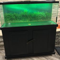 55 gallon fish tank with stand and led light