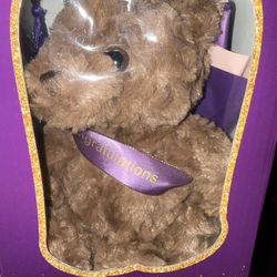 Graduation Bear In Box