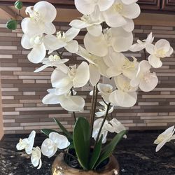 Faux Orchids Flowers 