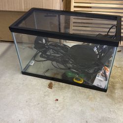 Reptile Set Up 
