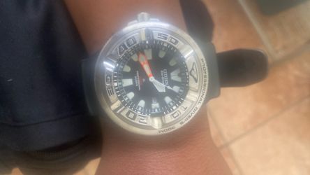 Citizen watch