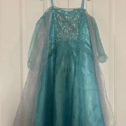 Elsa Costume 