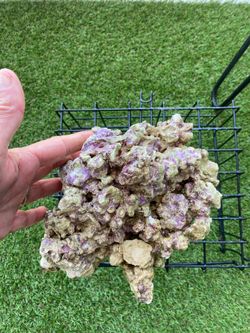 Saltwater rocks