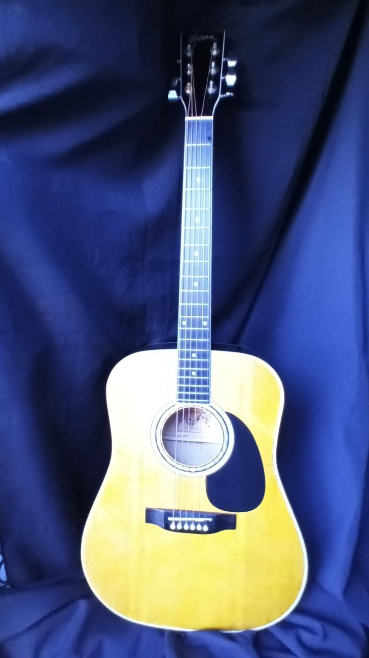 Esteban Acoustic Electric Guitar 