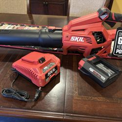 Skil 40v Blower Kit 