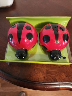 Ladybug Salt and Pepper Shaker Set
