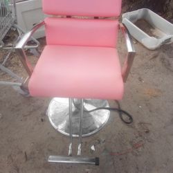 Salon Chair