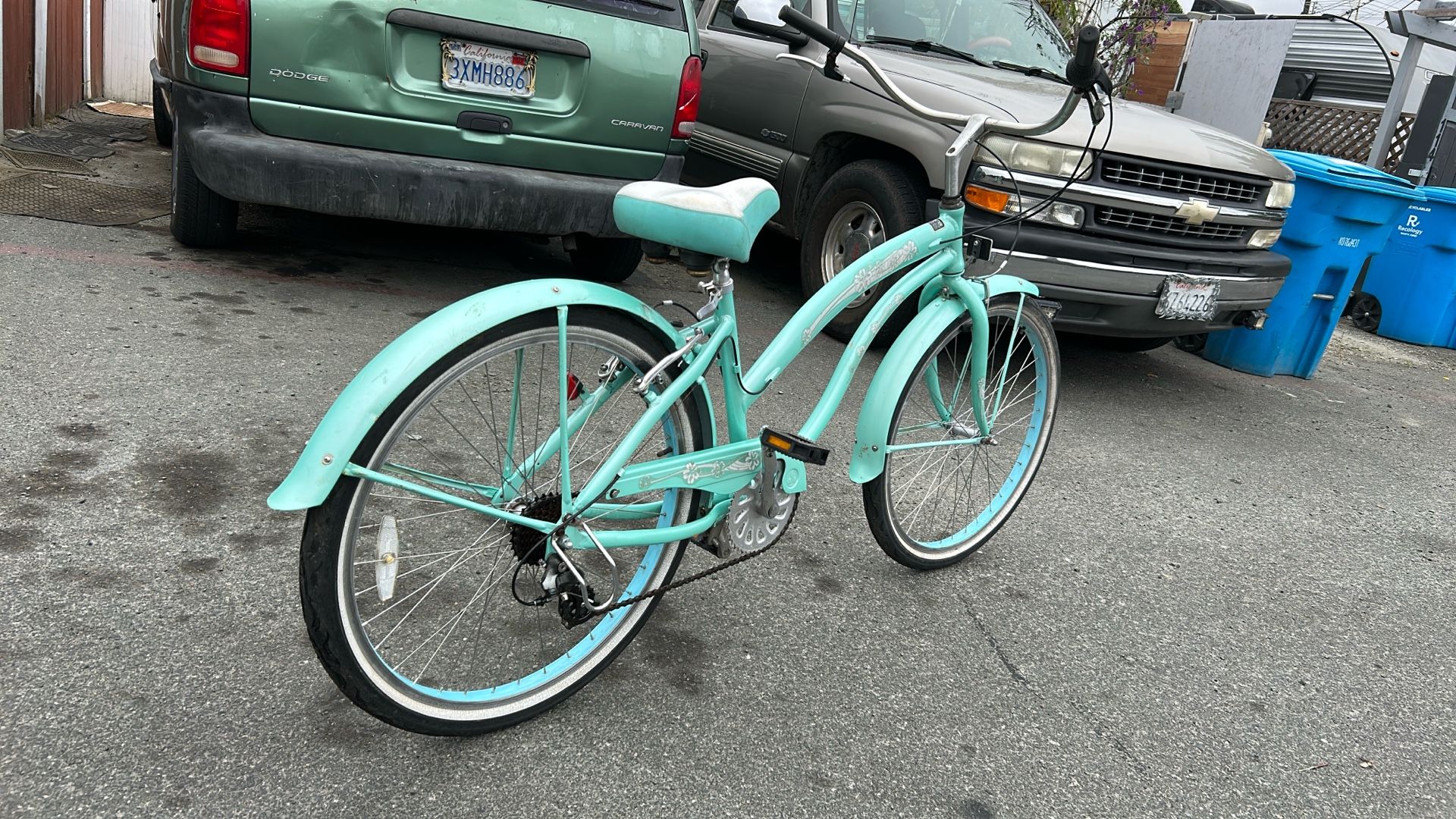 Green Line Beach Cruise Bike